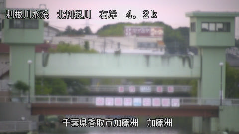 maesui2026061619_image
