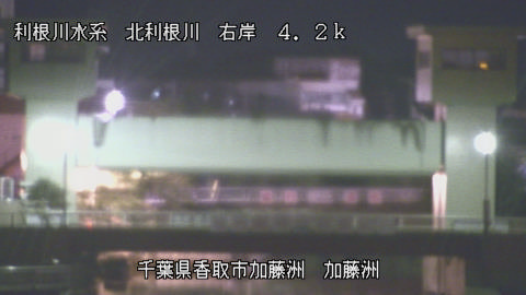 maesui2026061702_image
