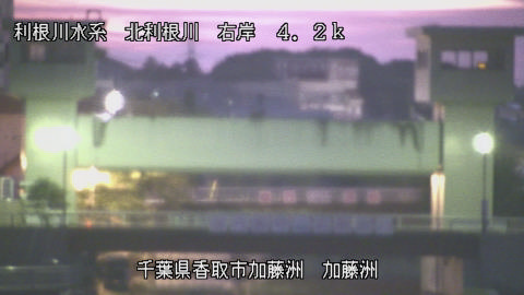 maesui2026061704_image
