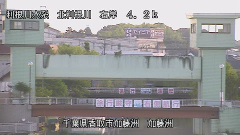 maesui2026061706_image