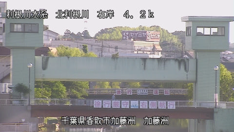 maesui2026061707_image
