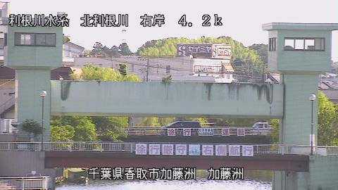maesui2026061708_image