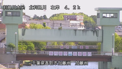 maesui2026061709_image