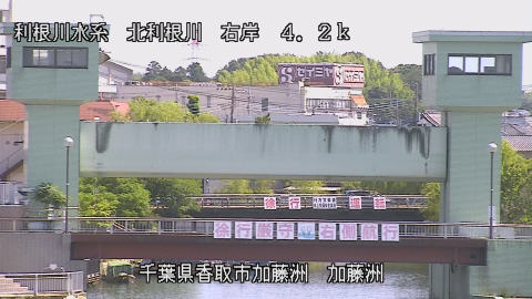 maesui2026061710_image