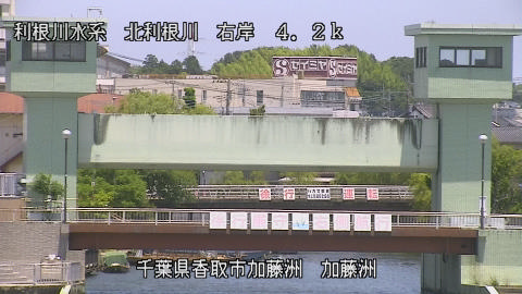 maesui2026061712_image