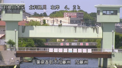 maesui2026061714_image