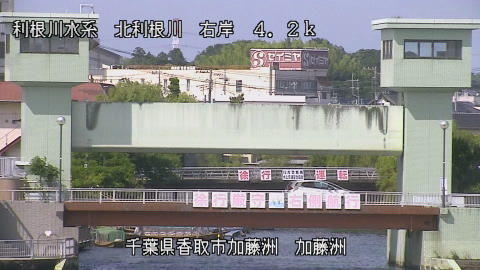 maesui2026061715_image