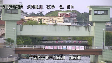 maesui2026061718_image
