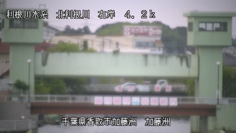 maesui2026061719_image