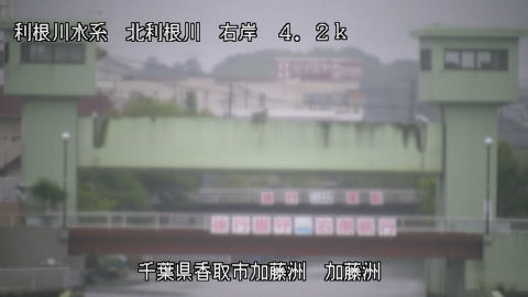 maesui2026061806_image