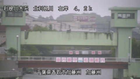 maesui2026061807_image