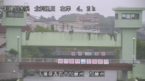 maesui2026061808_image