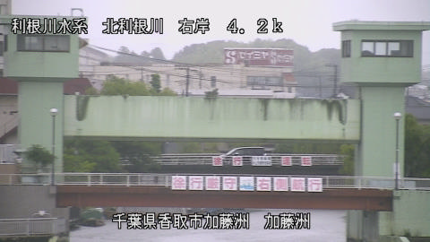 maesui2026061809_image