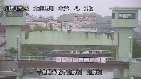maesui2026061810_image