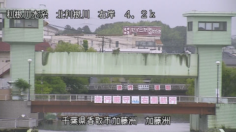 maesui2026061811_image