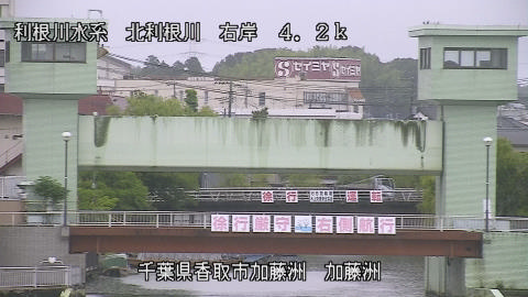 maesui2026061812_image