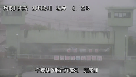 maesui2026061813_image