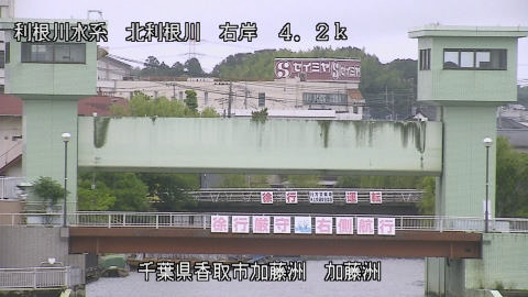 maesui2026061814_image