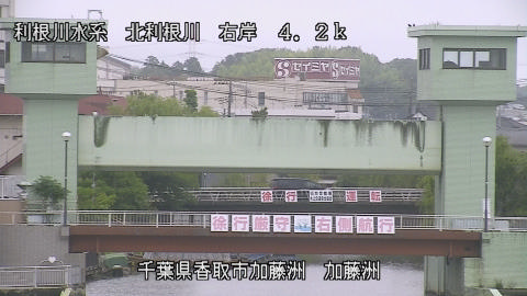 maesui2026061815_image