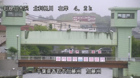 maesui2026061818_image