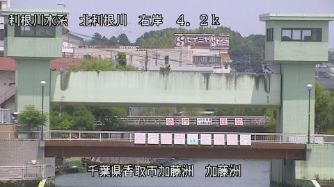 maesui2026073112_image