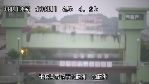 maesui2026080105_image