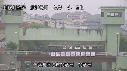 maesui2026080107_image