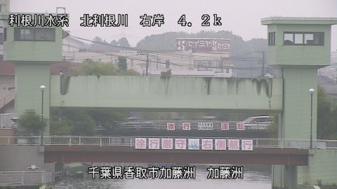 maesui2026080108_image