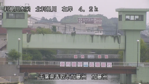 maesui2026080109_image