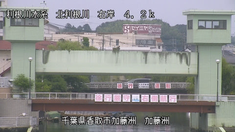maesui2026080113_image