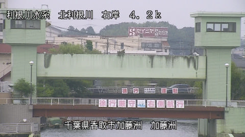 maesui2026080115_image