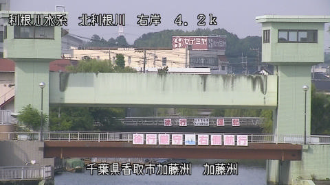 maesui2026080116_image
