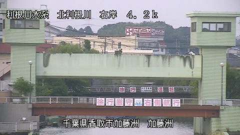 maesui2026080117_image