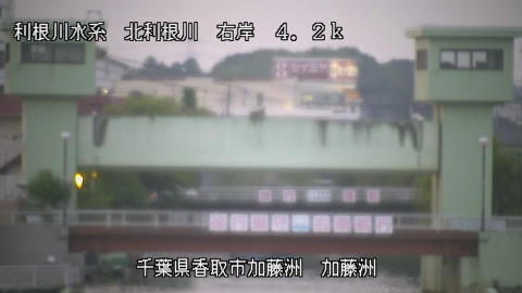 maesui2026080119_image
