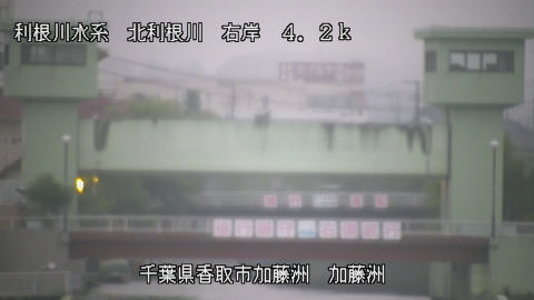 maesui2026080205_image
