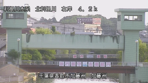 maesui2026080207_image