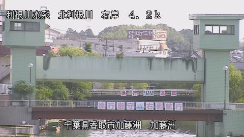 maesui2026080208_image