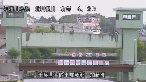 maesui2026080209_image