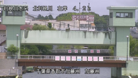 maesui2026080212_image