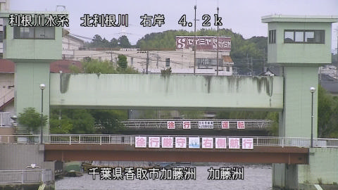 maesui2026080213_image