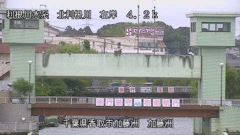 maesui2026080215_image