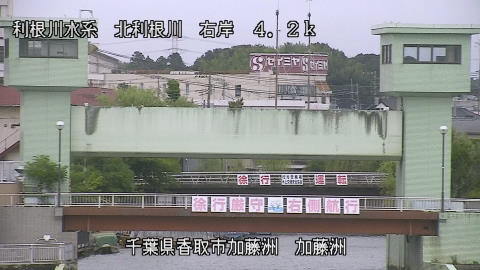 maesui2026080216_image