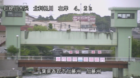 maesui2026080218_image
