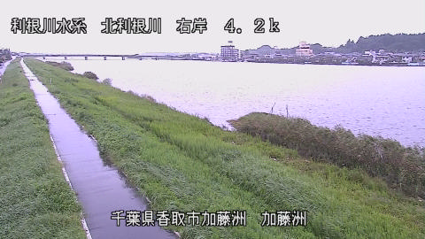 maesui2026092612_image