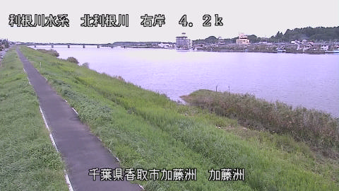 maesui2026092712_image