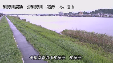 maesui2026092812_image