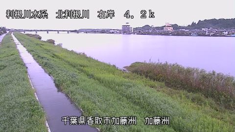 maesui2026092912_image