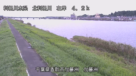 maesui2026100112_image