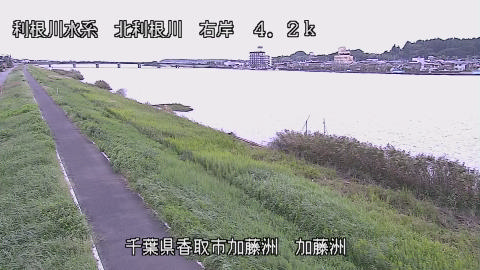maesui2026100212_image