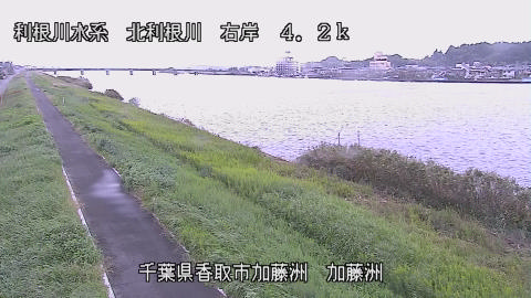 maesui2026100512_image